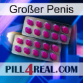 Großer Penis 10